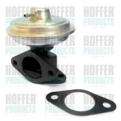 EGR Valve HOFFER 7518339