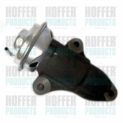 EGR Valve HOFFER 7518345