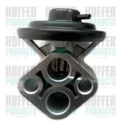 EGR Valve HOFFER 7518347