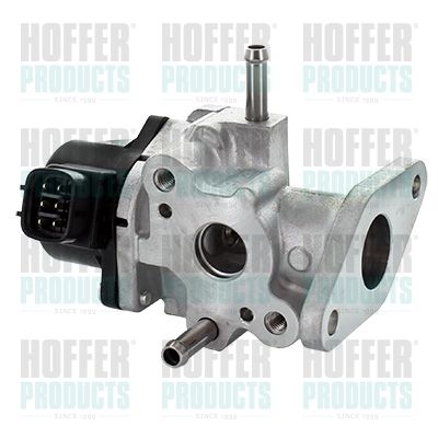 EGR Valve HOFFER 7518352