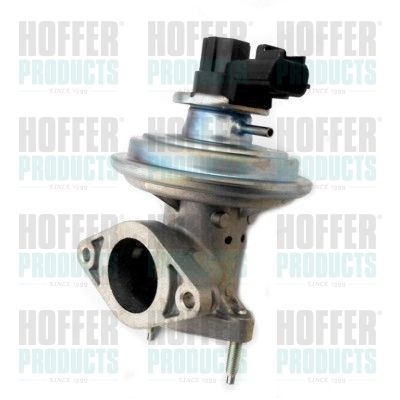 HOFFER 7518356 EGR Valve