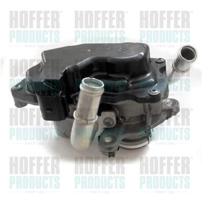 EGR Valve HOFFER 7518360
