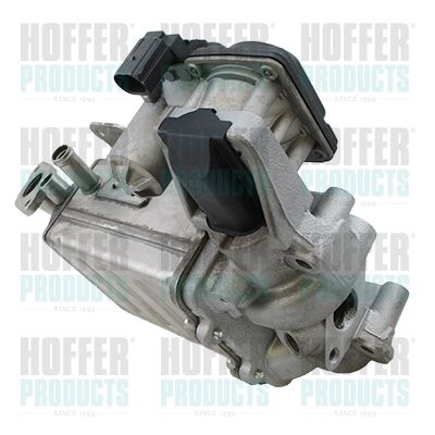 EGR Module HOFFER 7518378R