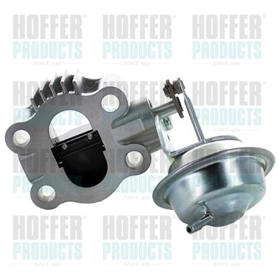 Exhaust Gas Door HOFFER 7518402