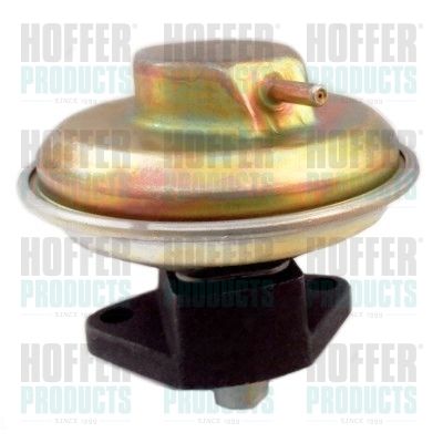 EGR Valve HOFFER 7518404