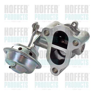 EGR Valve HOFFER 7518444