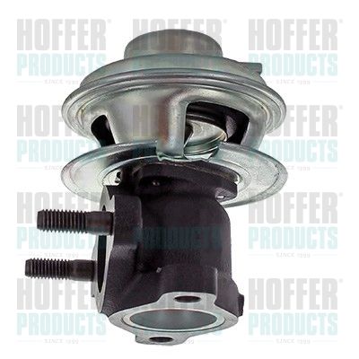 EGR Valve HOFFER 7518465