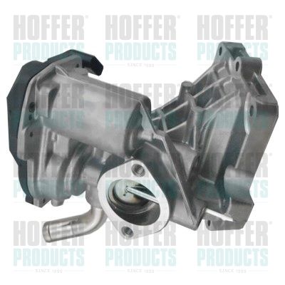 EGR Valve HOFFER 7518486