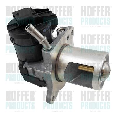 EGR Valve HOFFER 7518489