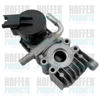 EGR Valve HOFFER 7518491