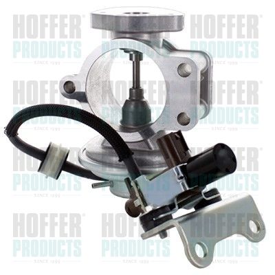 EGR Valve HOFFER 7518499