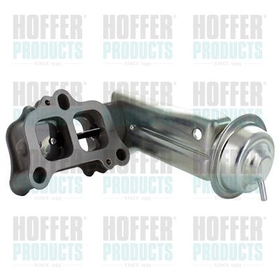 EGR Valve HOFFER 7518733