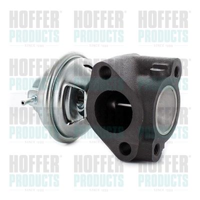 EGR Valve HOFFER 7518738