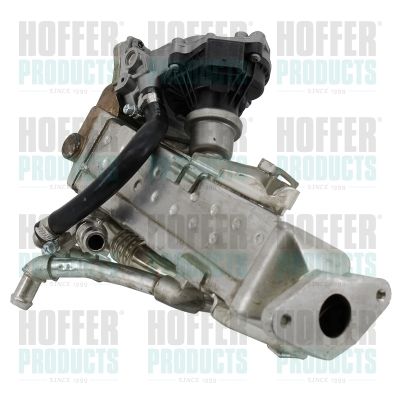 HOFFER 7518803R EGR Module