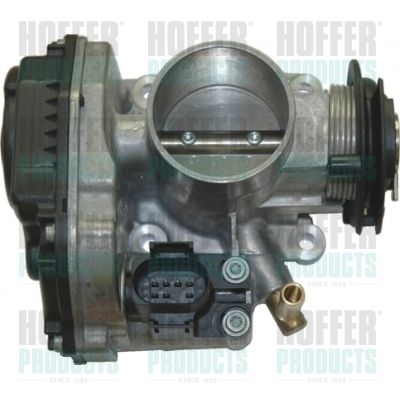 Throttle Body HOFFER 7519003