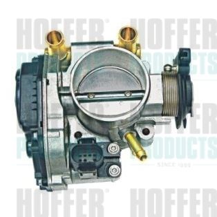 Throttle Body HOFFER 7519008