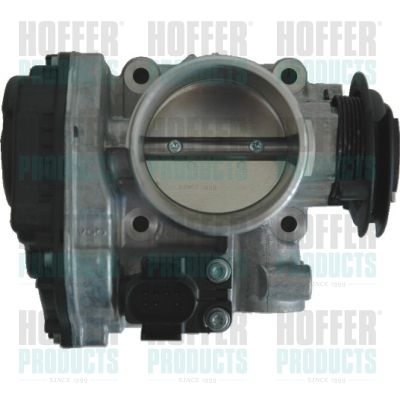 Throttle Body HOFFER 7519009