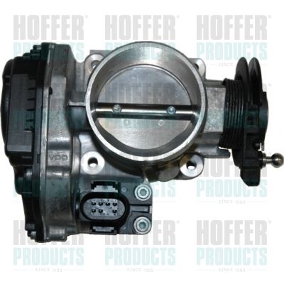 Throttle Body HOFFER 7519020