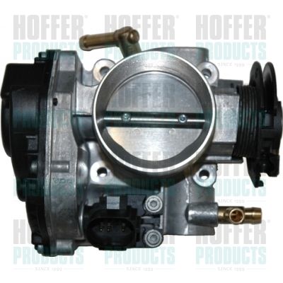 Throttle Body HOFFER 7519022