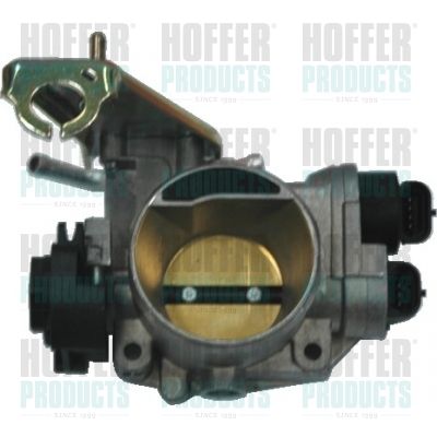 Throttle Body HOFFER 7519063
