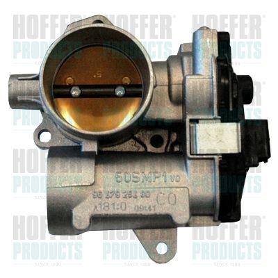 Throttle Body HOFFER 7519107