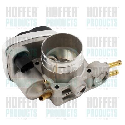 Throttle Body HOFFER 7519114