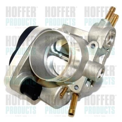 Throttle Body HOFFER 7519115