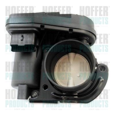 Throttle Body HOFFER 7519128