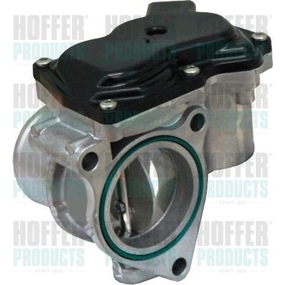 Throttle Body HOFFER 7519135