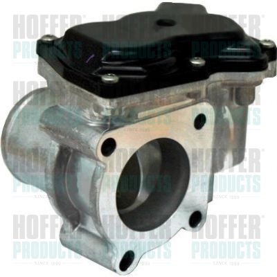 Throttle Body HOFFER 7519136