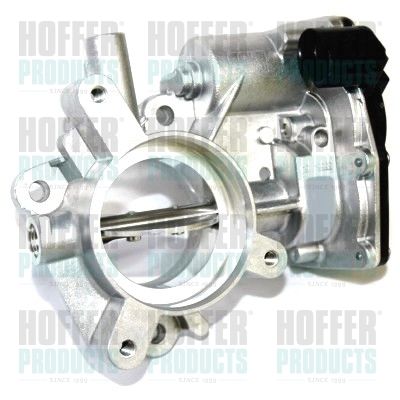Throttle Body HOFFER 7519164