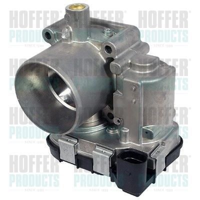 Throttle Body HOFFER 7519197