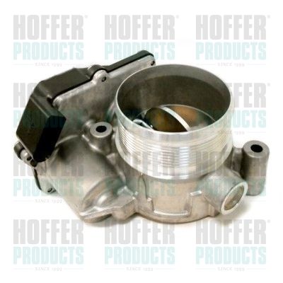 Throttle Body HOFFER 7519200