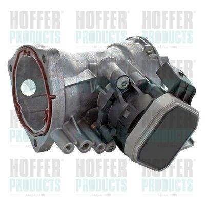 Throttle Body HOFFER 7519205