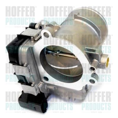 Throttle Body HOFFER 7519215