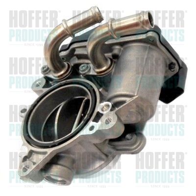 Throttle Body HOFFER 7519230