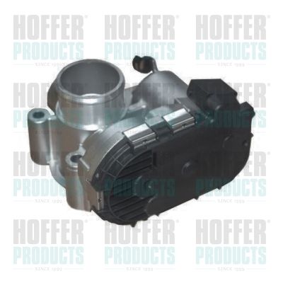 Throttle Body HOFFER 7519258R