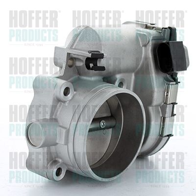Throttle Body HOFFER 7519263R