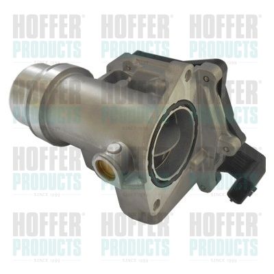 Throttle Body HOFFER 7519264