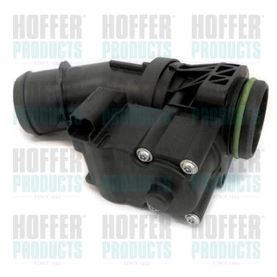 Throttle Body HOFFER 7519270