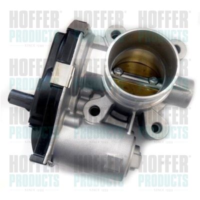 Throttle Body HOFFER 7519280