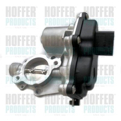 EGR Valve HOFFER 7519290