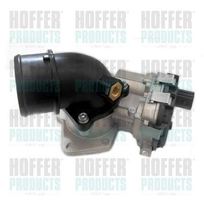 Throttle Body HOFFER 7519298