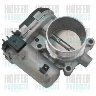 Throttle Body HOFFER 7519304