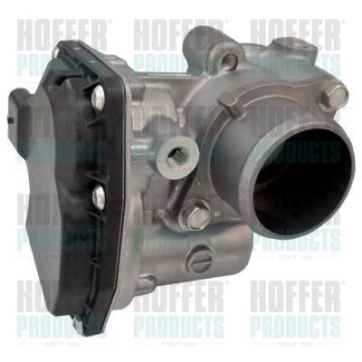 Throttle Body HOFFER 7519330