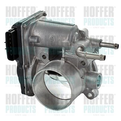 Throttle Body HOFFER 7519333