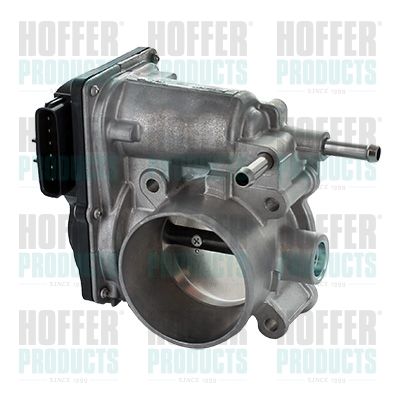 Throttle Body HOFFER 7519335