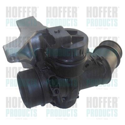 Throttle Body HOFFER 7519353