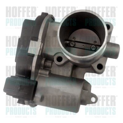 Throttle Body HOFFER 7519356