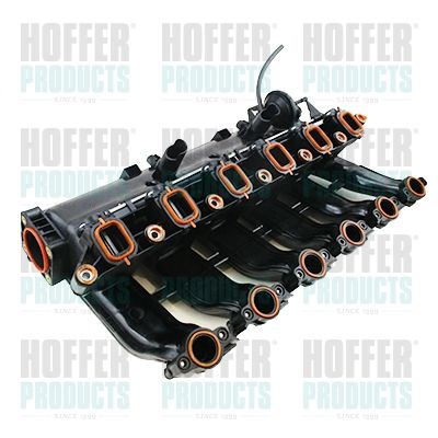 Intake Manifold Module HOFFER 7519374